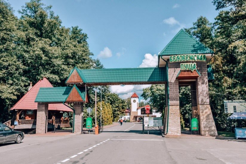 Беловежская пуща