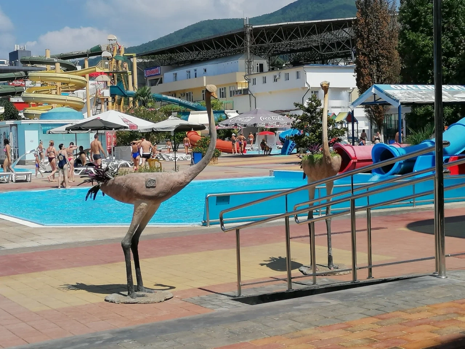 Аквапарк «Морская звезда»