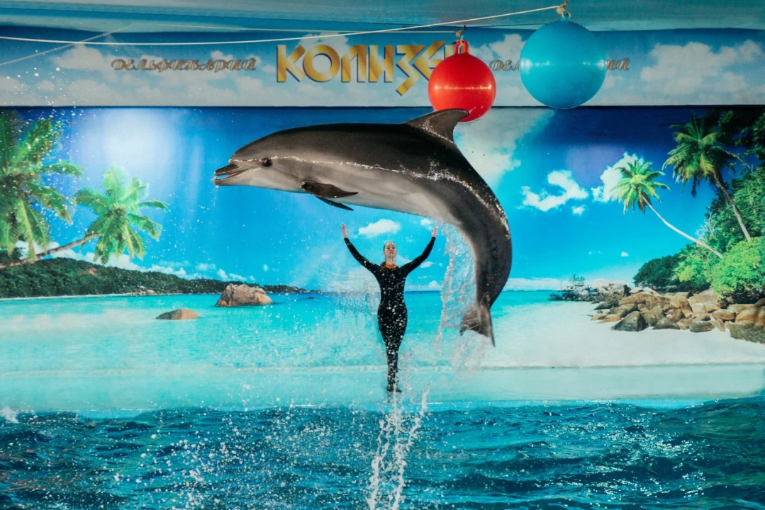 Дельфинарий «Колизей»
