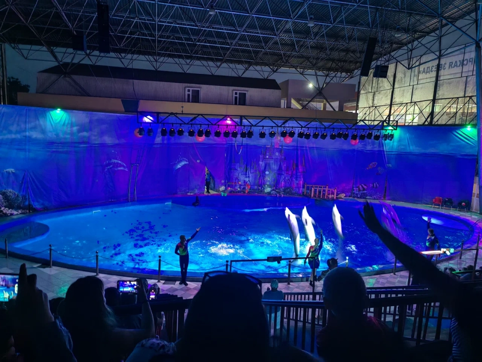 Дельфинарий