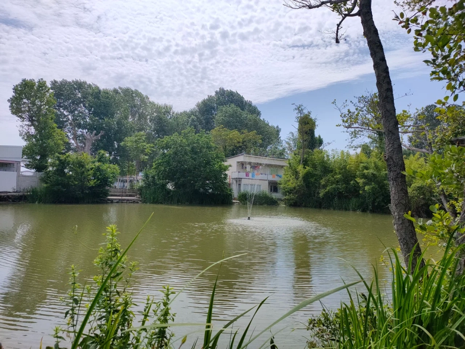 Эко-парк «Озеро Дивное»