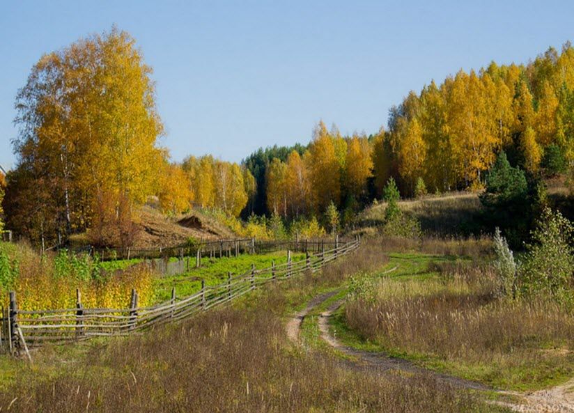 Заповедная роща Лучинник