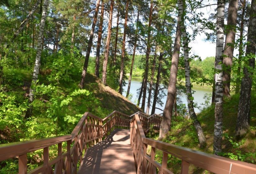 Гилевская роща