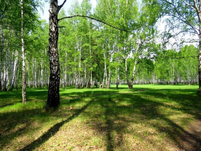 Парк им. Ю.А. Гагарина