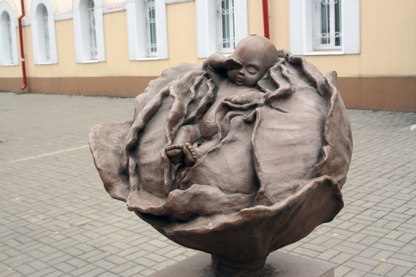 Младенец в капусте