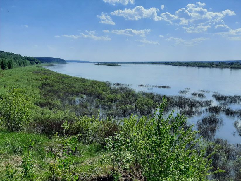 Потаповы лужки