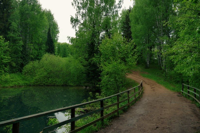 Дендрологический парк