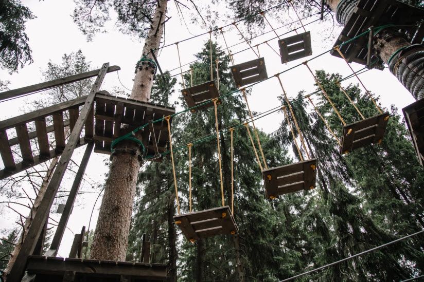 Тайпарк «Порошино»