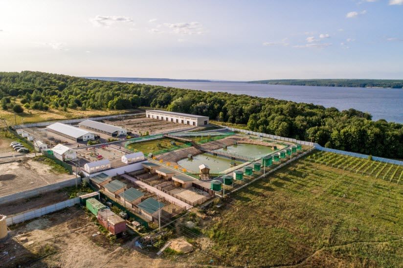 Экокомплекс «Казеевка»