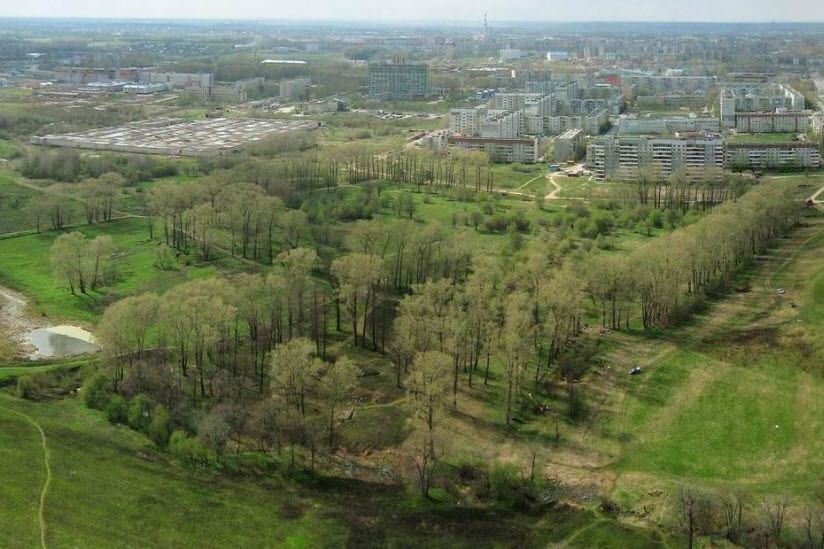 Осановская роща