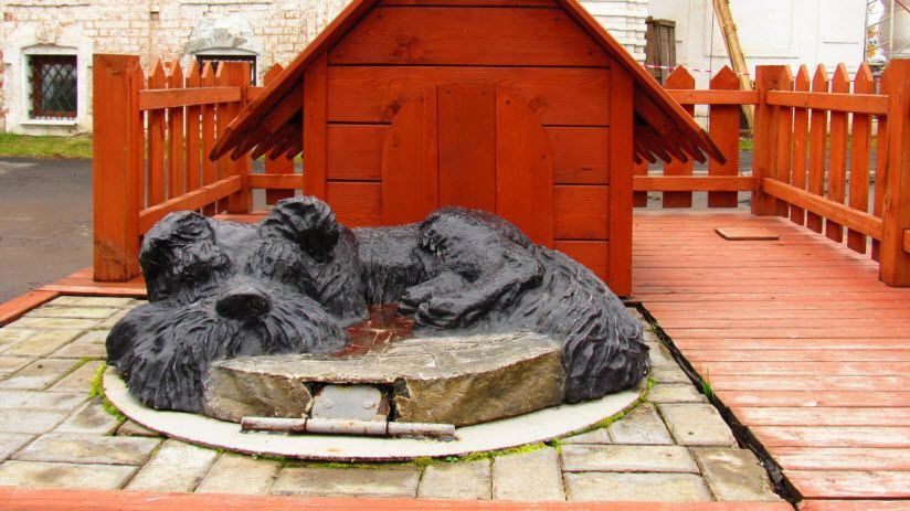 Памятник уличной собаке «Бося»