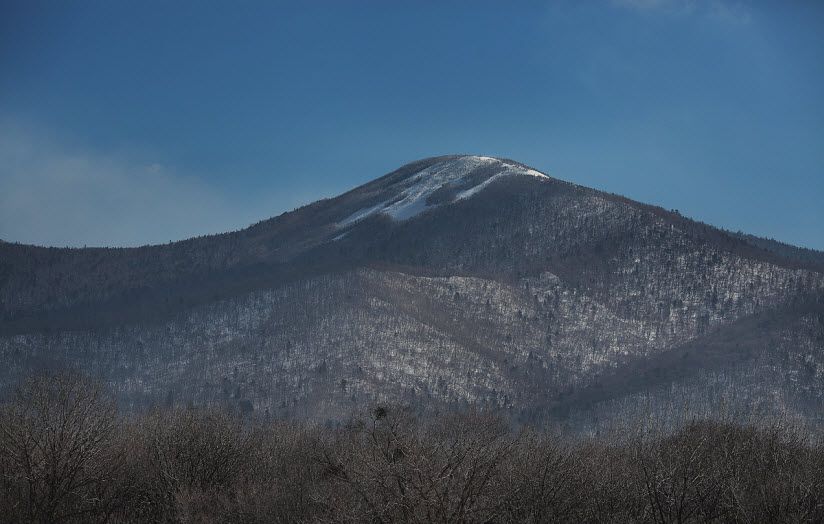 Лысая гора