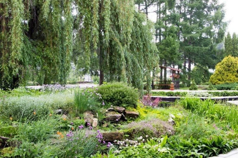 Ботанический сад-институт ФГБОУ ВО ПГТУ