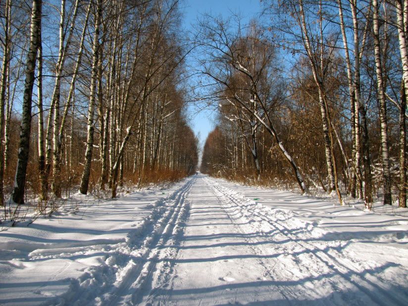 Парк им. 400-летия Йошкар-Олы