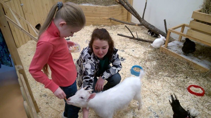 Трогательный зоопарк «Томас»