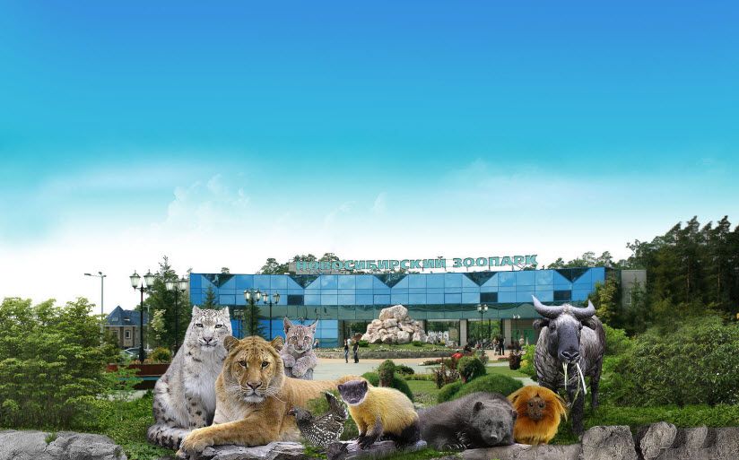 Новосибирский зоопарк