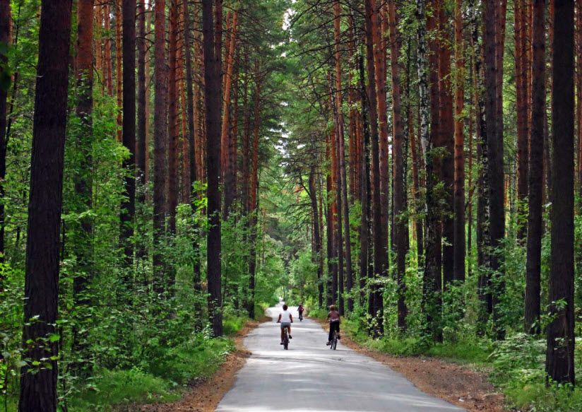 Заельцовский парк