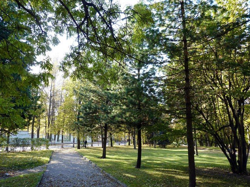 Ботанический сад