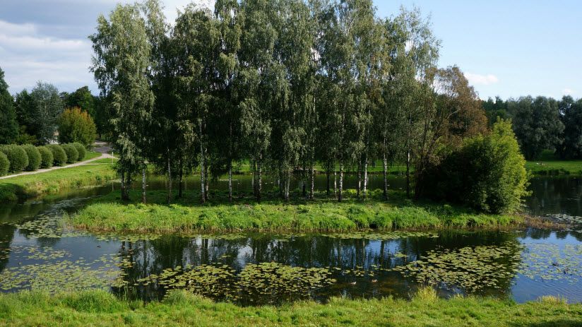 Дендропарк