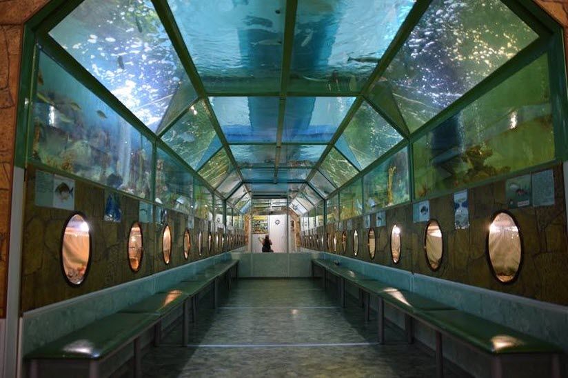 Морской аквариум «Батискаф»