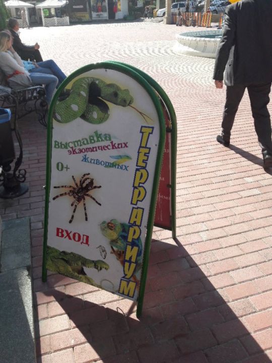 Террариум