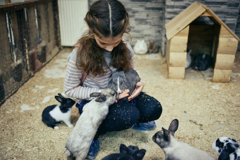 Контактный зоопарк «Обнимашки»