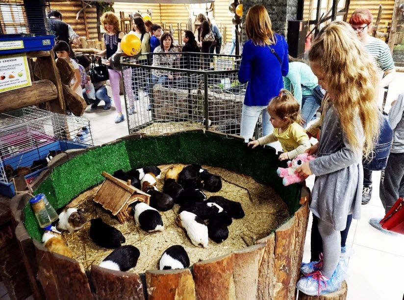 Зоопарк «Лесное посольство»