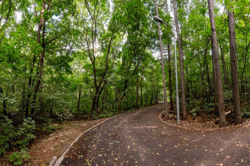 Непейцевский дендропарк