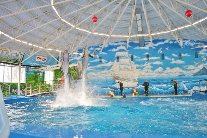 Дельфинарий «Атлантида»
