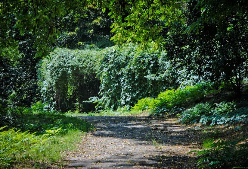 Ботанический сад