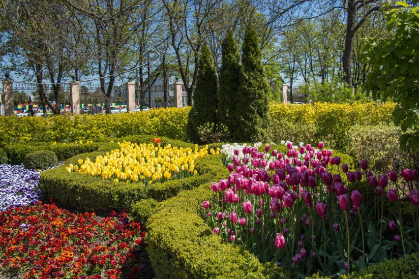 Ботанический сад им. Косенко