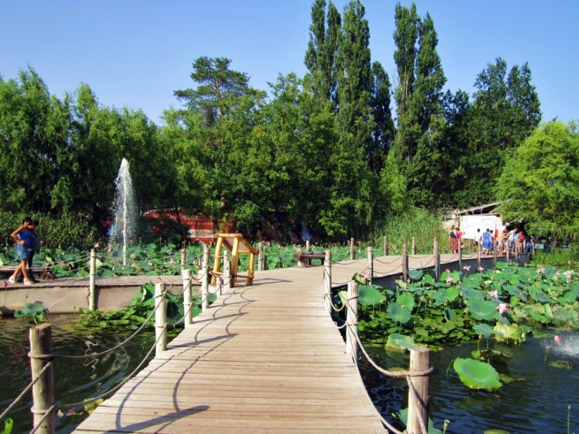 Сафари-парк