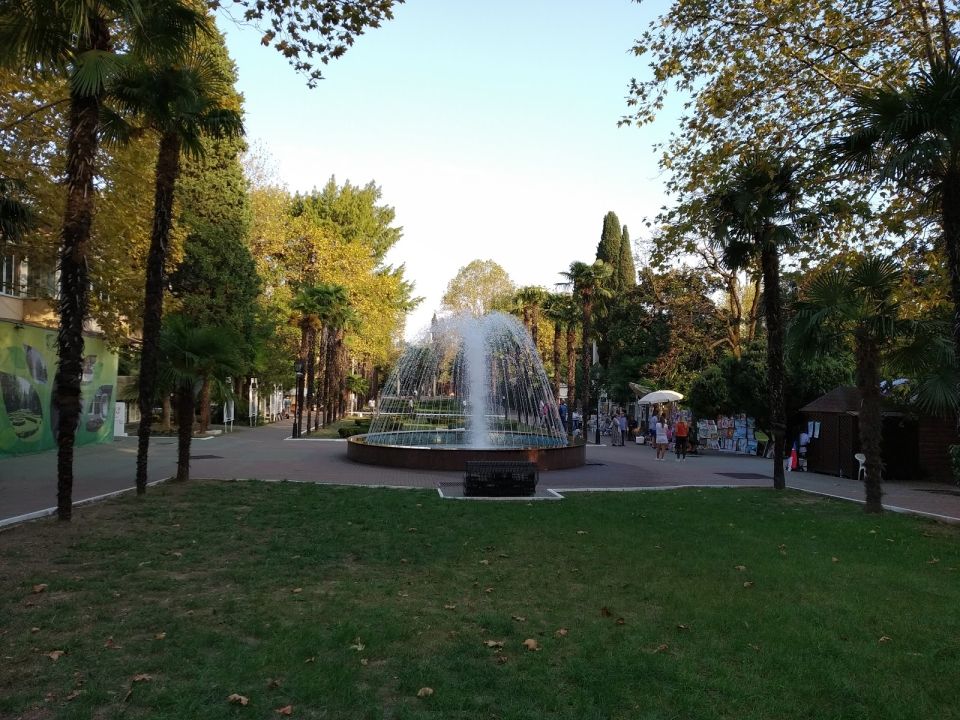 Платановая аллея