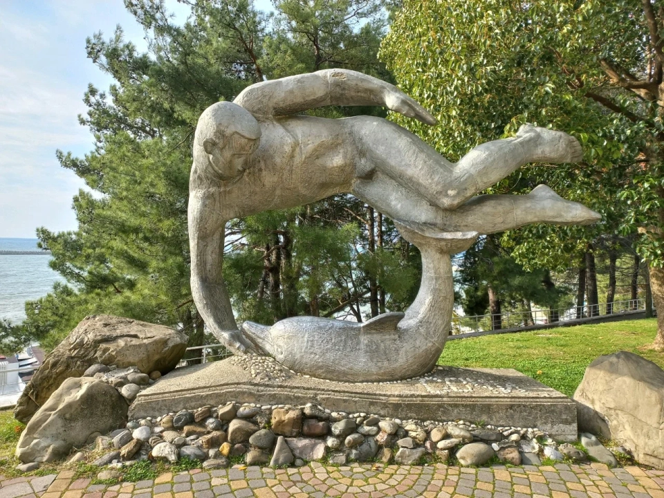 Пловец и дельфин