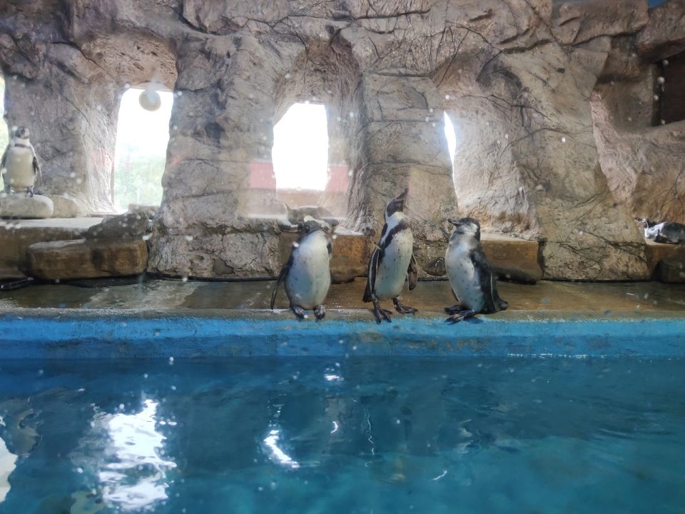 Аквариум &amp; Морской зоопарк