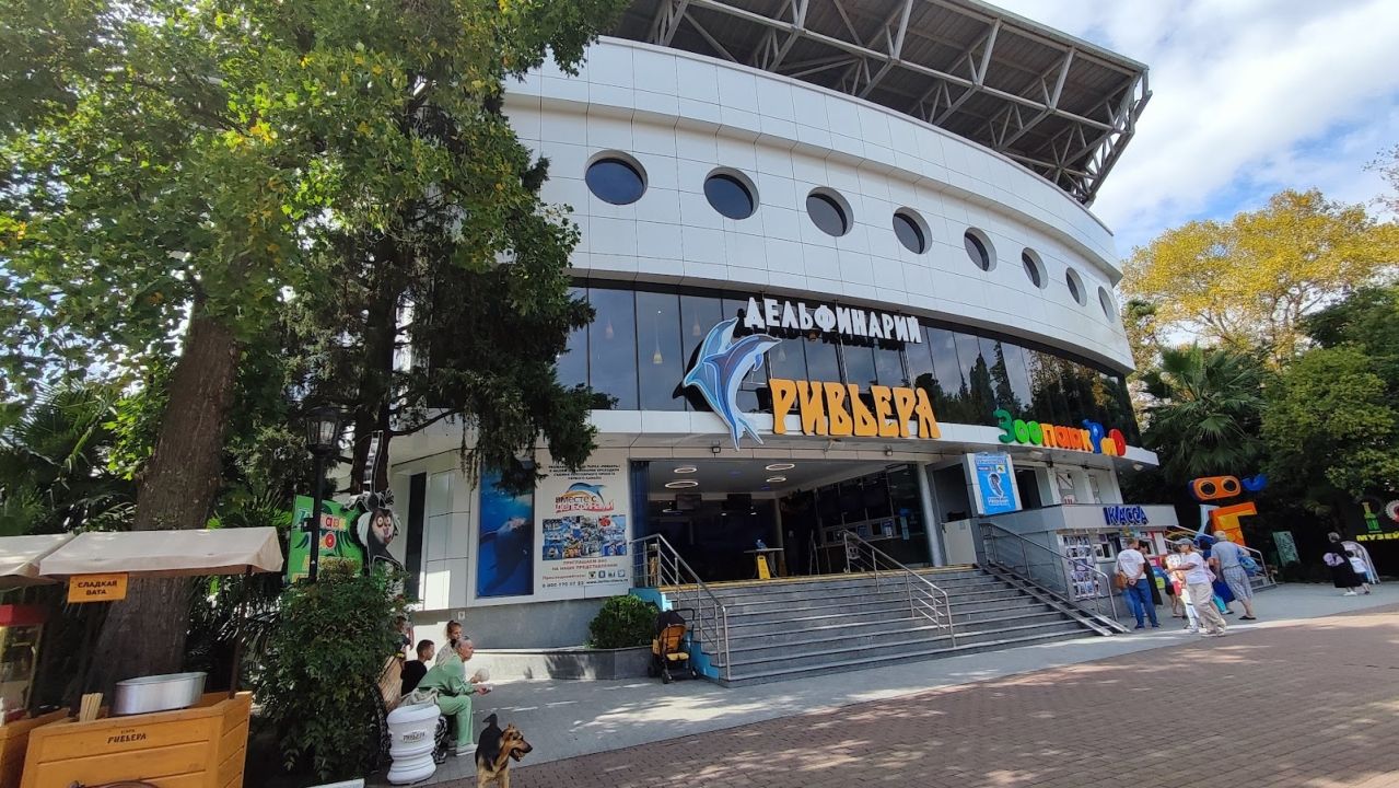 Большой Сочинский дельфинарий