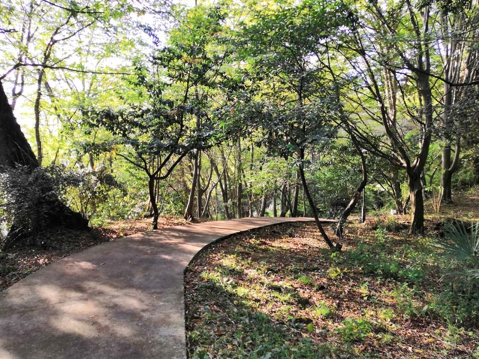 Тропа здоровья