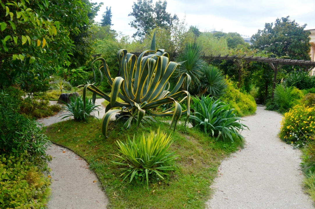 Сад Фитофантазия