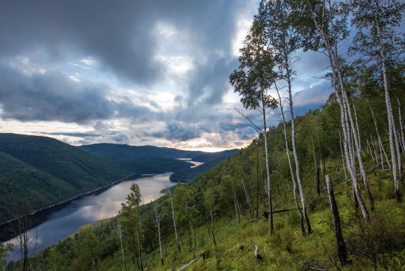 Зейский заповедник