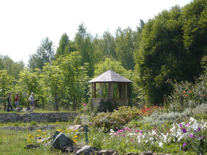 Дендрологический детский парк «Берендей»