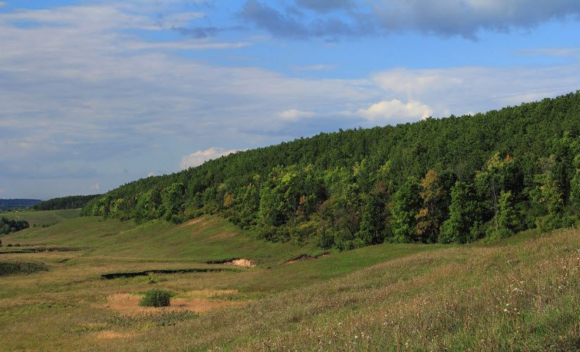 Склон Чарду