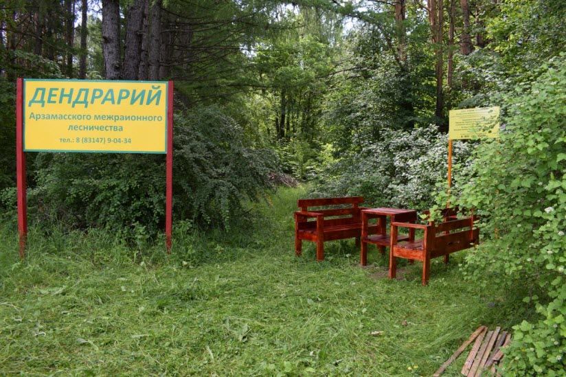 Дендрарий Арзамасского межрайонного лесничества