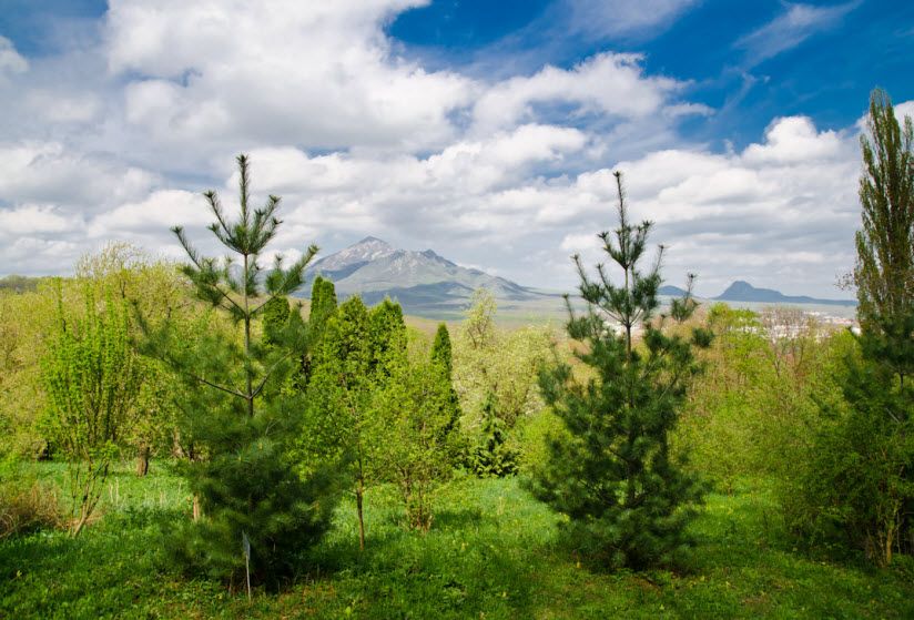 Перкальский дендропарк