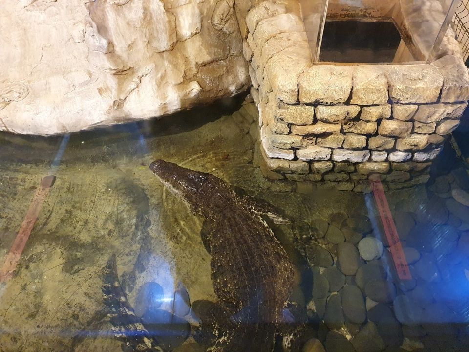 Океанариум