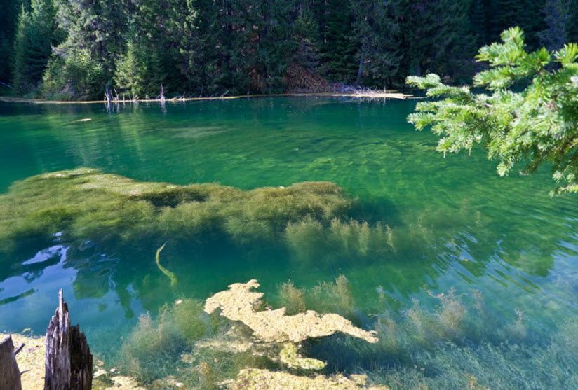 Бошляковское озеро