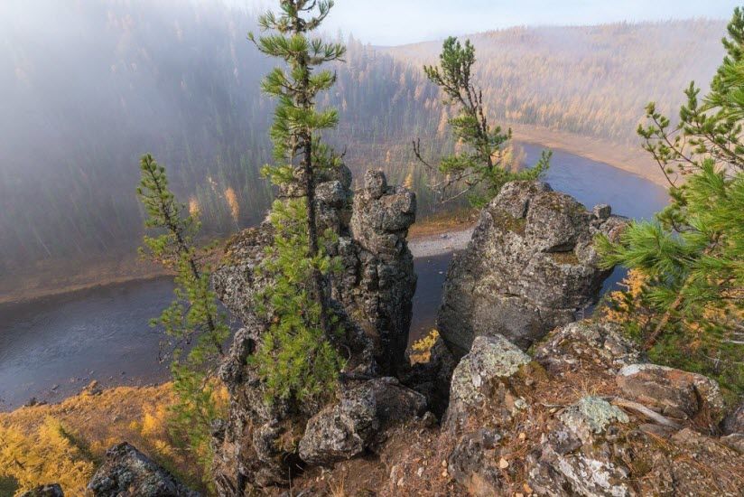 Центральносибирский заповедник