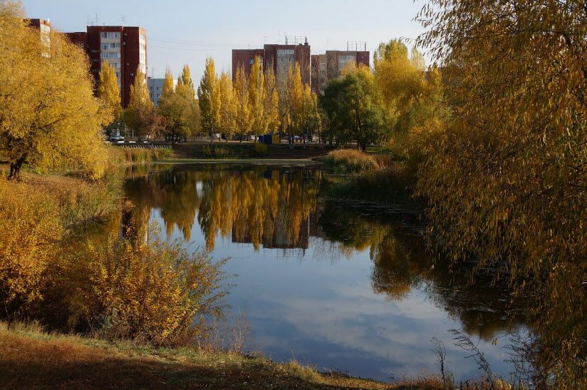 Парк «Воронежские озера»