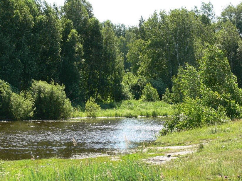 Курганский заказник