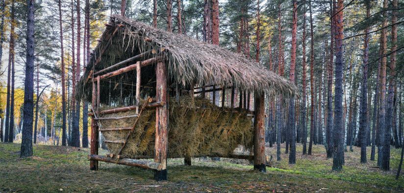 Заказник «Белозерский»
