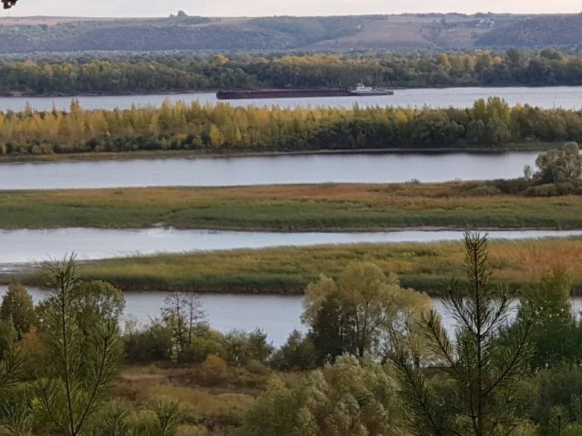 Устье реки Илеть